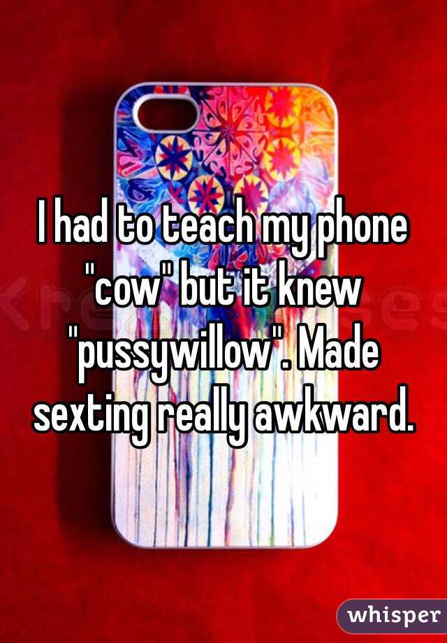 I had to teach my phone "cow" but it knew "pussywillow". Made sexting really awkward.