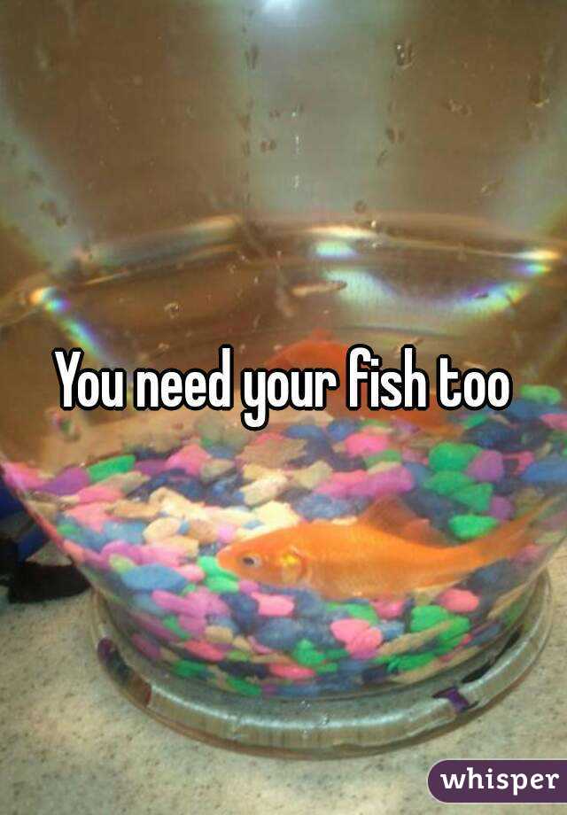 You need your fish too