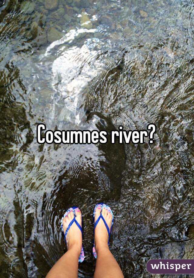 Cosumnes river?