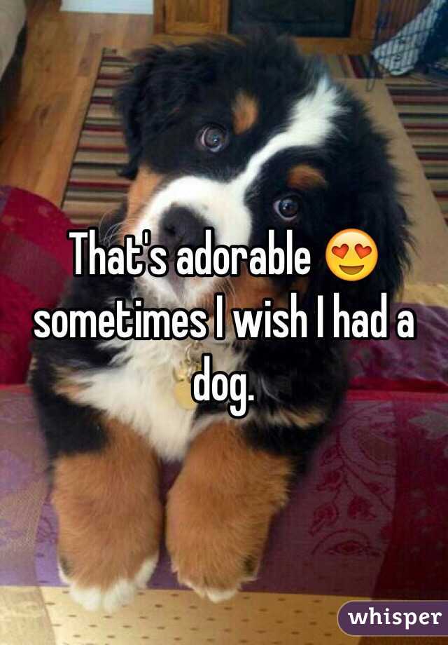 That's adorable 😍 sometimes I wish I had a dog. 