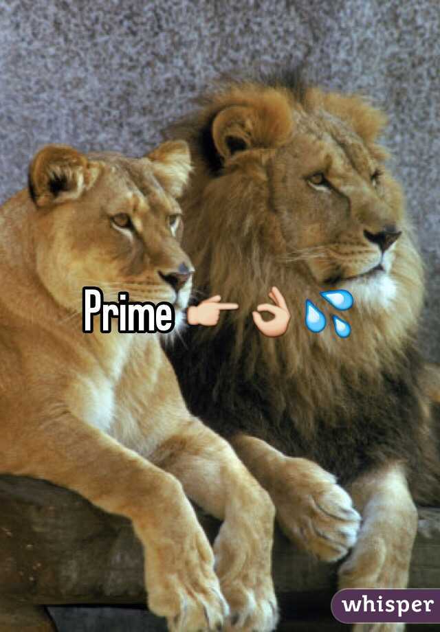 Prime 👉👌💦