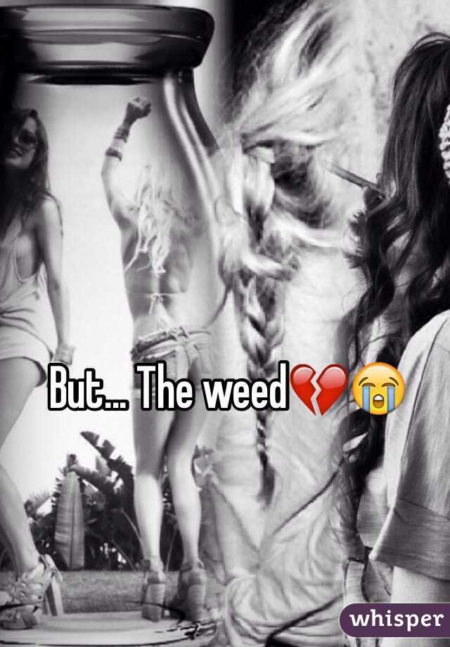 But... The weed💔😭