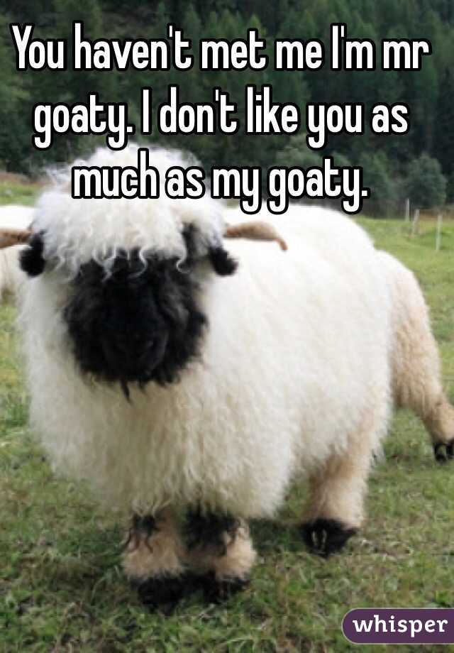 You haven't met me I'm mr goaty. I don't like you as much as my goaty. 