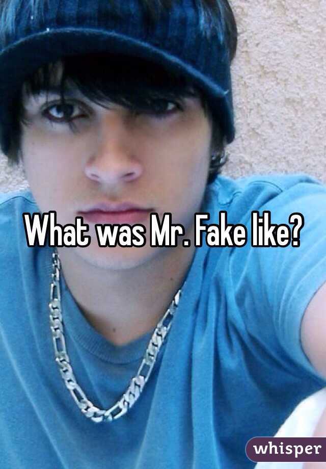 What was Mr. Fake like?