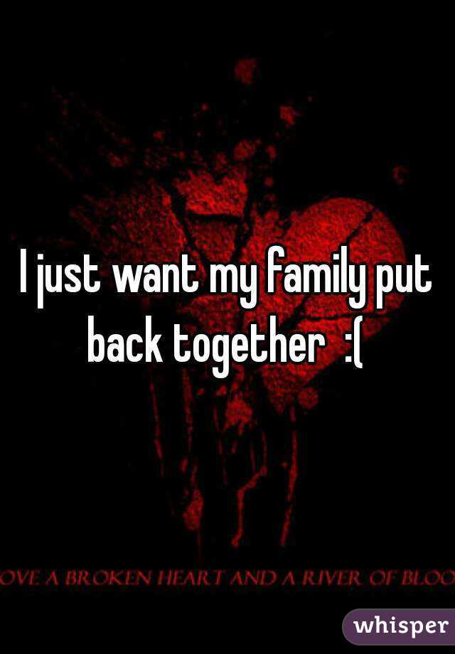 i-just-want-my-family-put-back-together