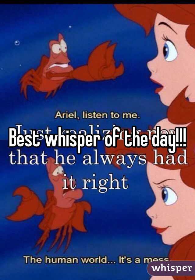 Best whisper of the day!!!