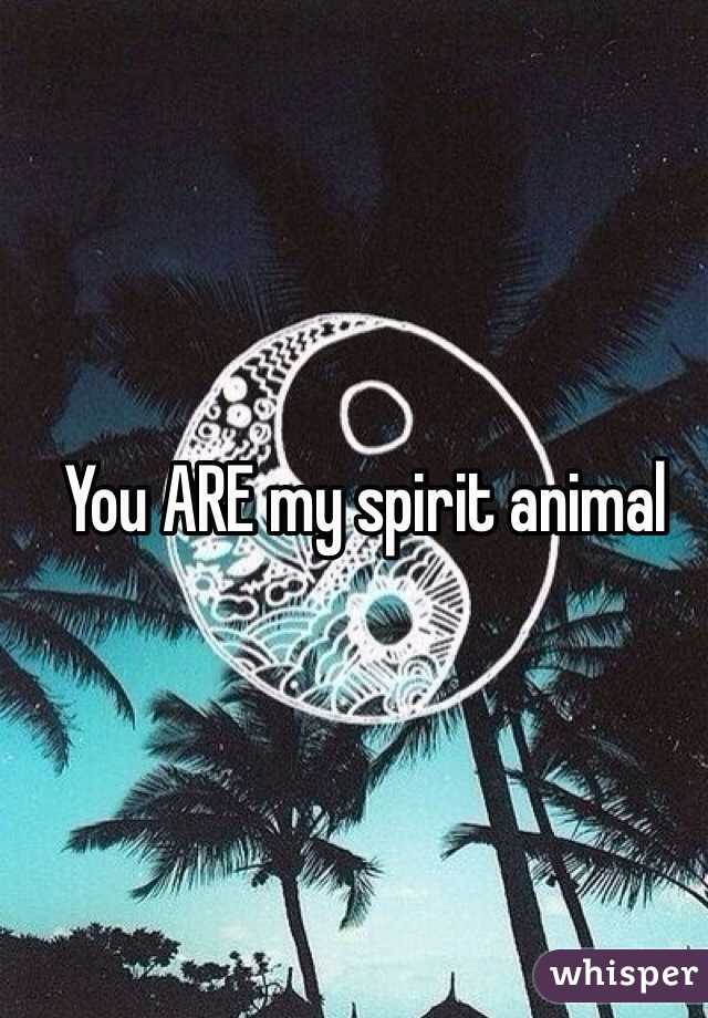You ARE my spirit animal