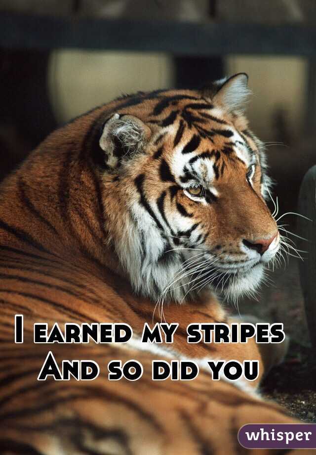 I earned my stripes 
And so did you 