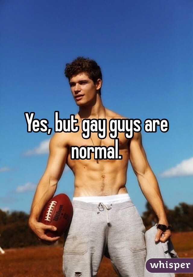 Normal Gay Guys 109