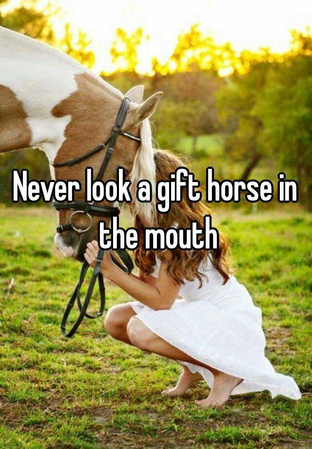 Never look a gift horse in the mouth