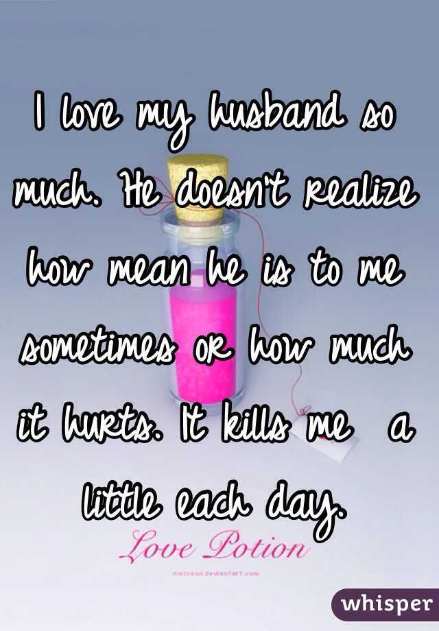 I love my husband so much. He doesn't realize how mean he is to me sometimes or how much it hurts. It kills me  a little each day. 