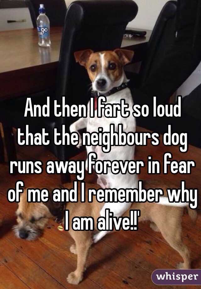 And then I fart so loud that the neighbours dog runs away forever in fear of me and I remember why I am alive!!'