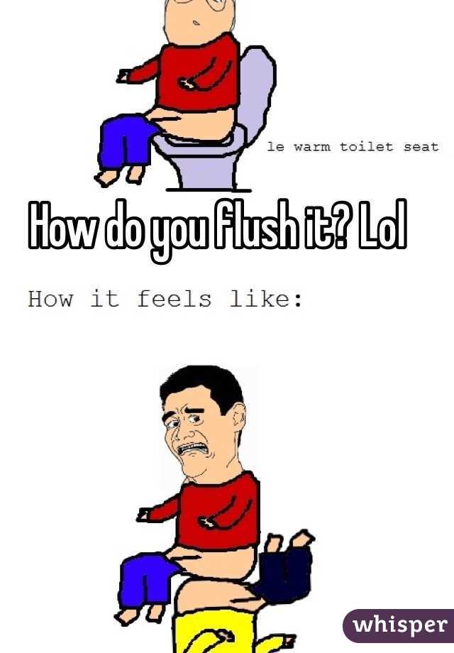 How do you flush it? Lol