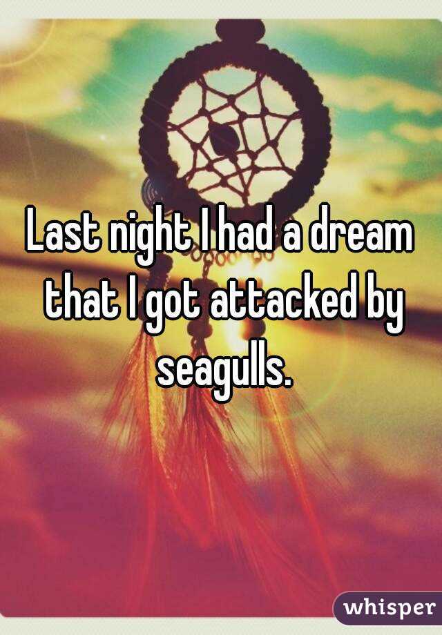 Last night I had a dream that I got attacked by seagulls.