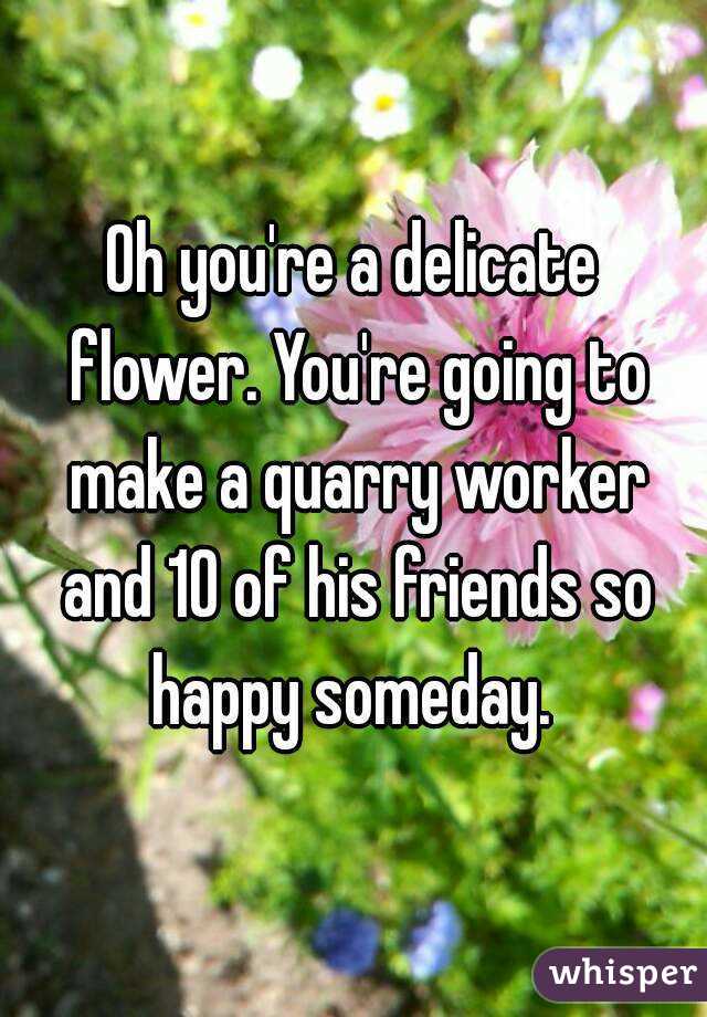 Oh you're a delicate flower. You're going to make a quarry worker and 10 of his friends so happy someday. 