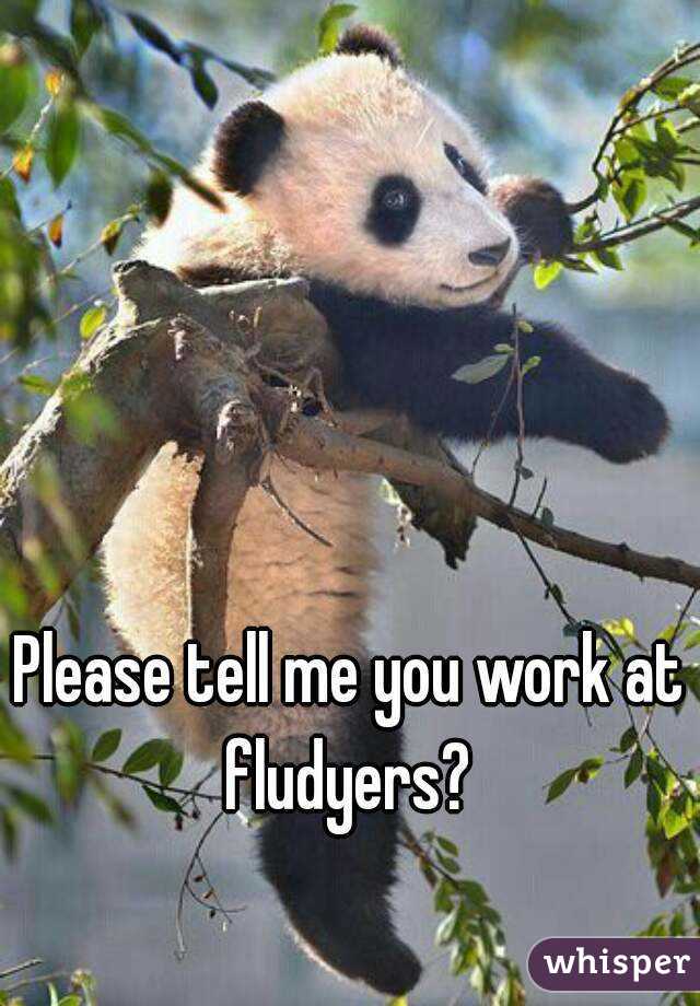 Please tell me you work at fludyers? 