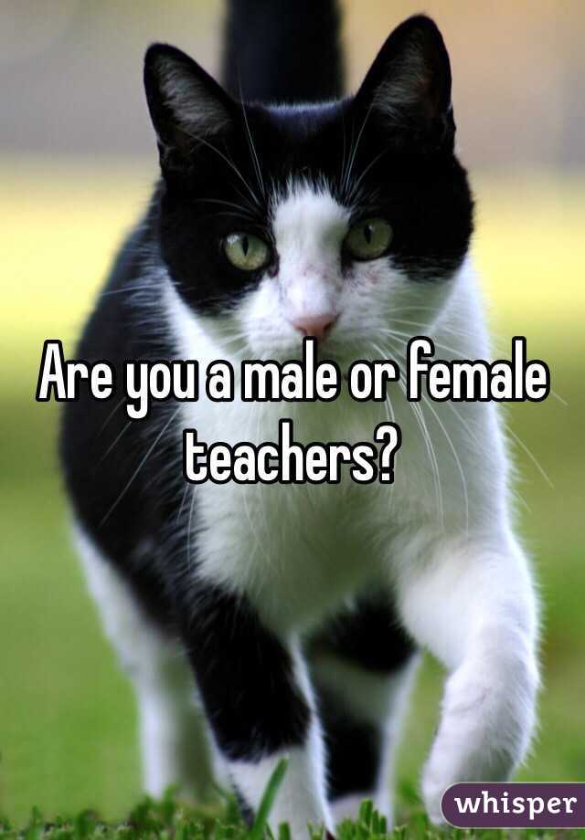 Are you a male or female teachers? 
