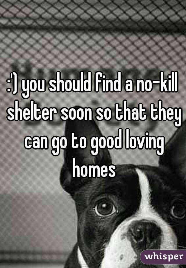 :') you should find a no-kill shelter soon so that they can go to good loving homes