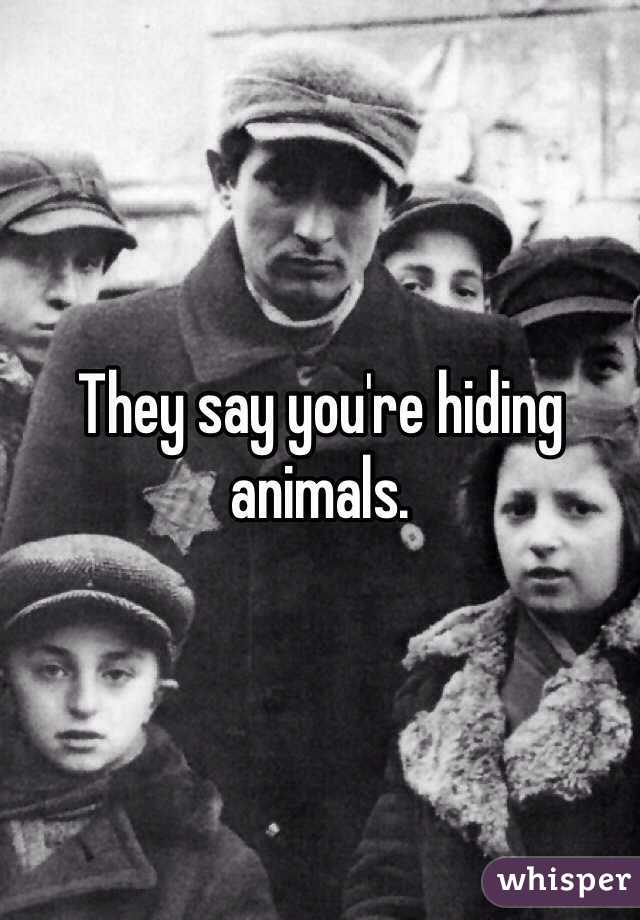 They say you're hiding animals. 