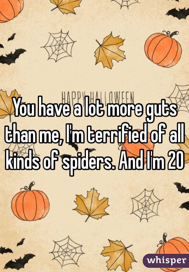 You have a lot more guts than me, I'm terrified of all kinds of spiders. And I'm 20