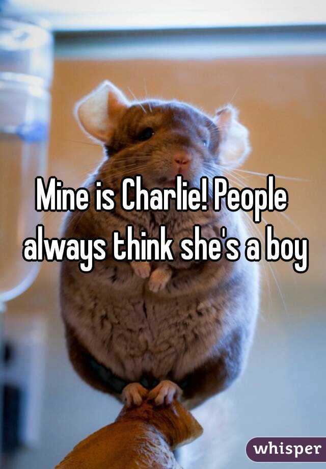 Mine is Charlie! People always think she's a boy