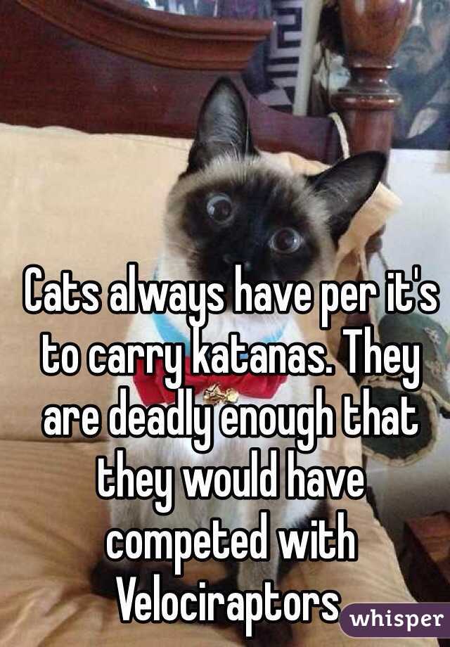 Cats always have per it's to carry katanas. They are deadly enough that they would have competed with Velociraptors. 