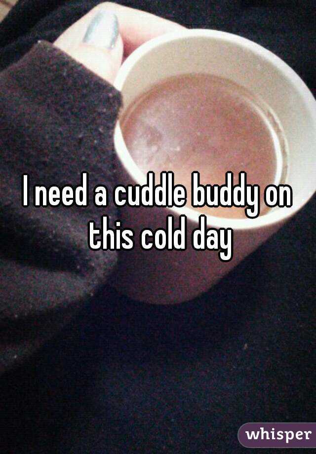 I need a cuddle buddy on this cold day