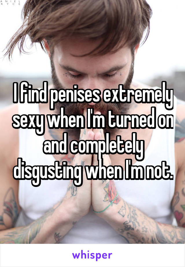 I find penises extremely sexy when I'm turned on and completely disgusting when I'm not.