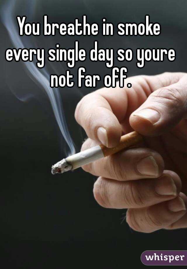 You breathe in smoke every single day so youre not far off.