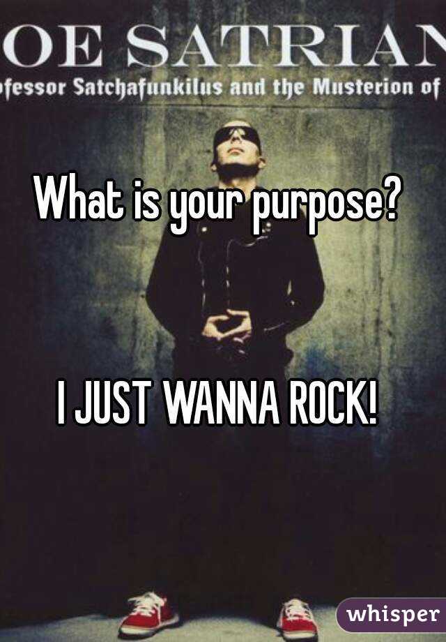 What is your purpose? 


I JUST WANNA ROCK! 