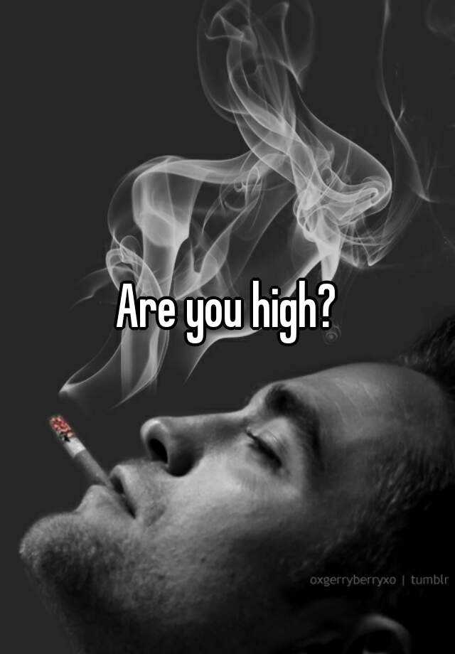 are-you-high