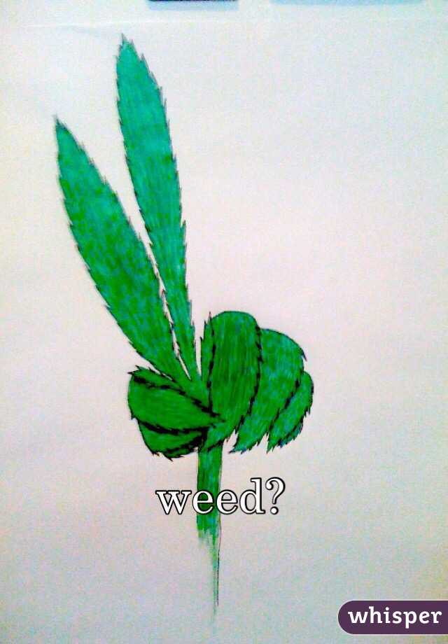 weed?