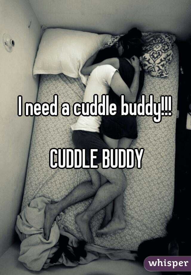 I need a cuddle buddy!!! 

CUDDLE BUDDY