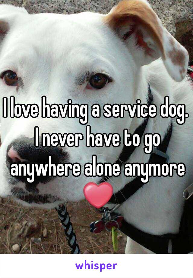 I love having a service dog. I never have to go anywhere alone anymore ❤