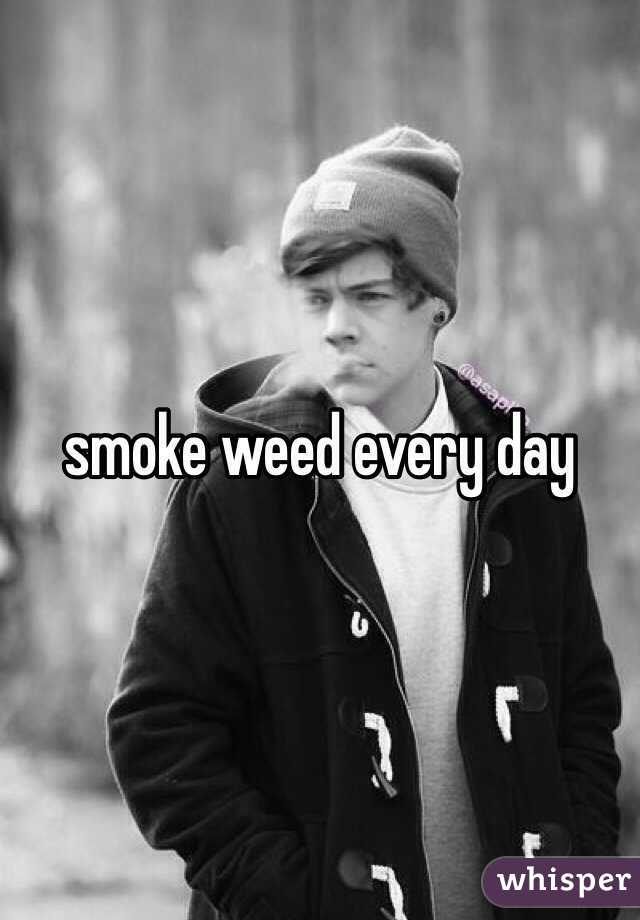 smoke weed every day 