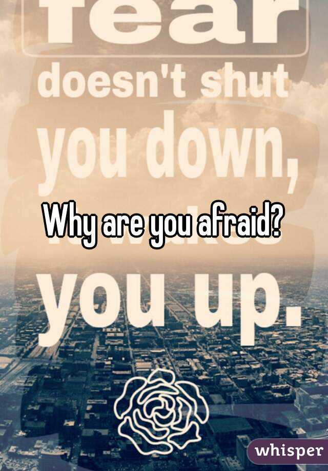 Why are you afraid?