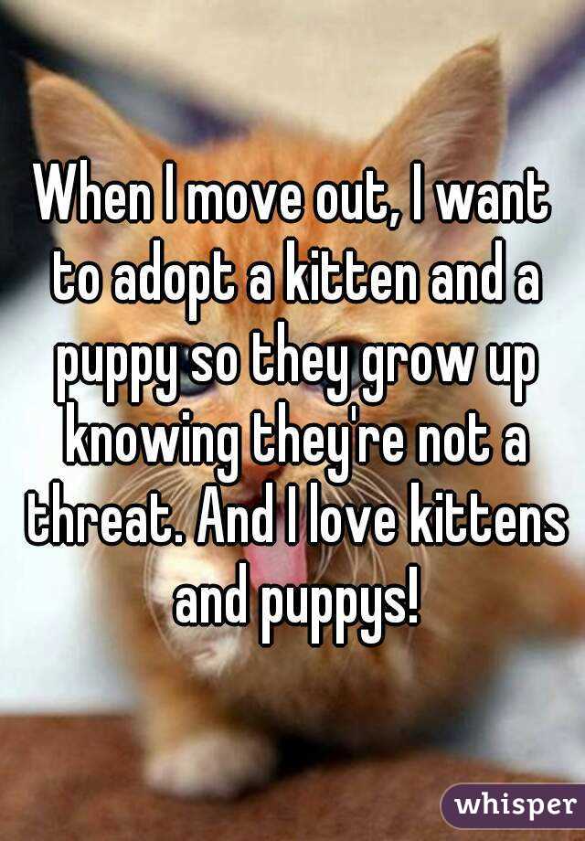 When I move out, I want to adopt a kitten and a puppy so they grow up knowing they're not a threat. And I love kittens and puppys!