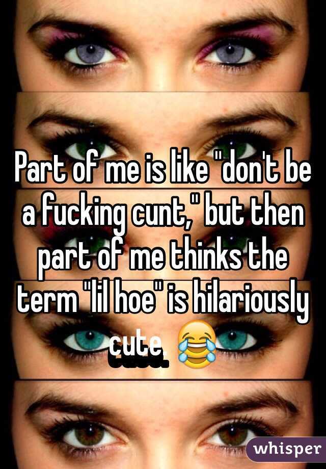 Part of me is like "don't be a fucking cunt," but then part of me thinks the term "lil hoe" is hilariously cute. 😂