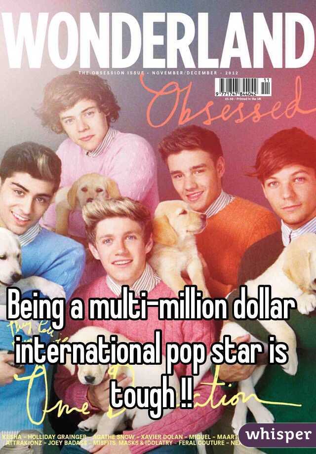  Being a multi-million dollar international pop star is tough !!