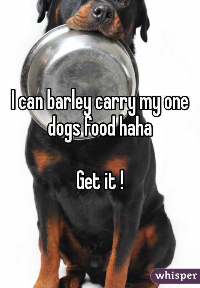 I can barley carry my one dogs food haha 

Get it ! 