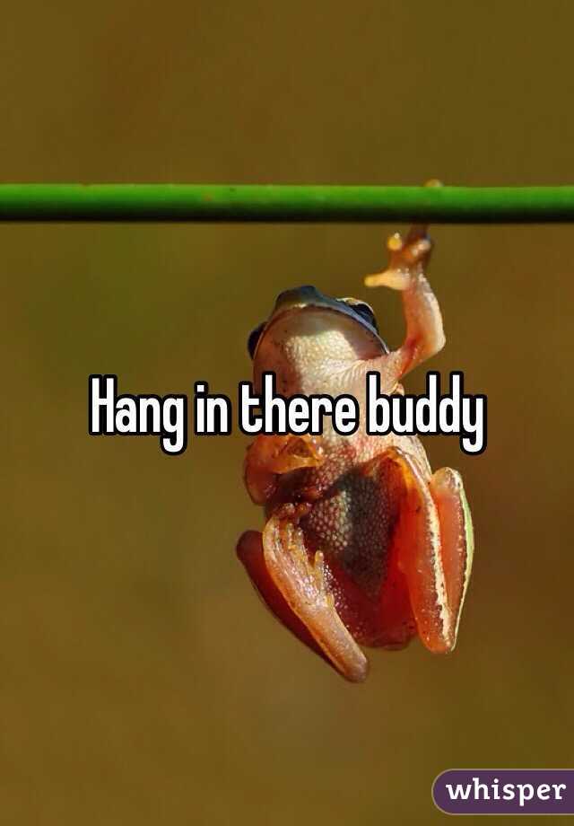Hang in there buddy