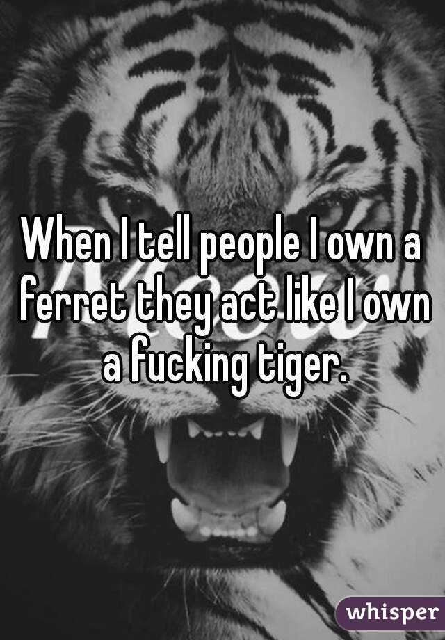 When I tell people I own a ferret they act like I own a fucking tiger.