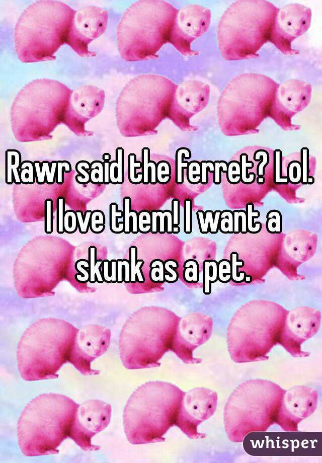 Rawr said the ferret? Lol. I love them! I want a skunk as a pet.