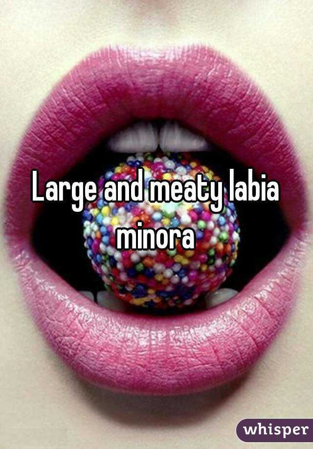 large-and-meaty-labia-minora