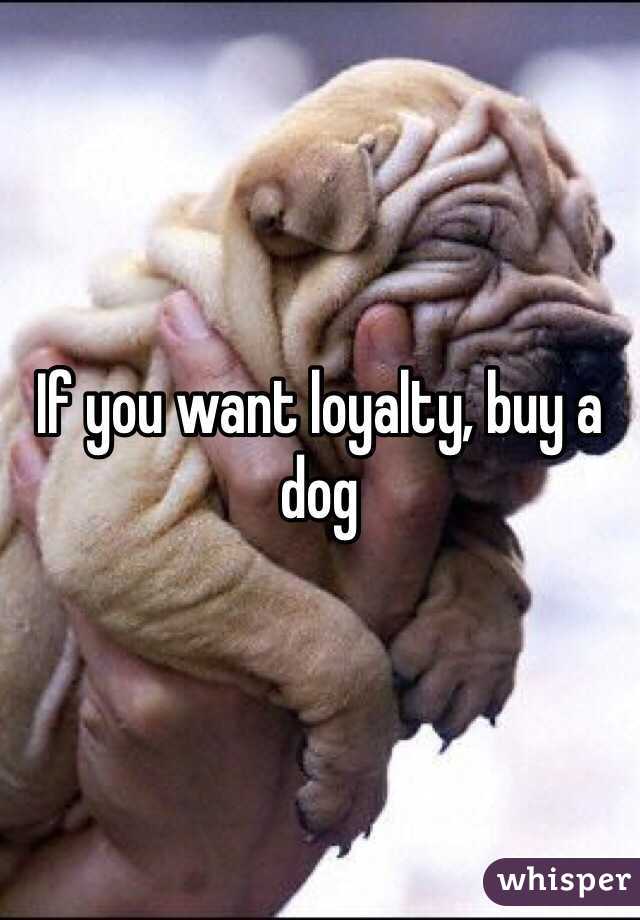 If you want loyalty - buy a dog