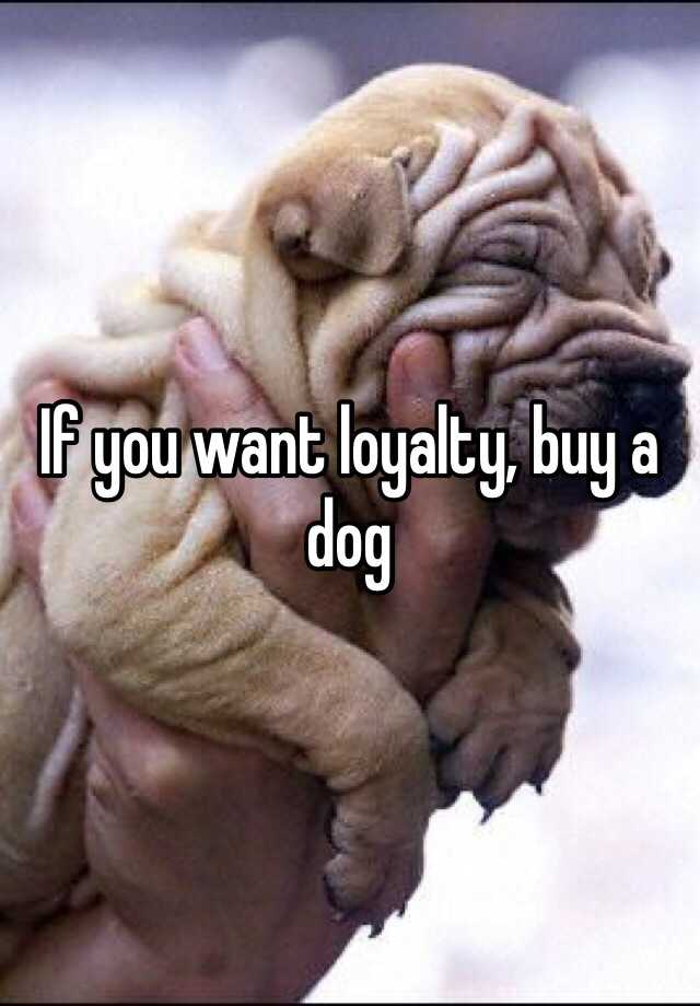 If you want loyalty - buy a dog