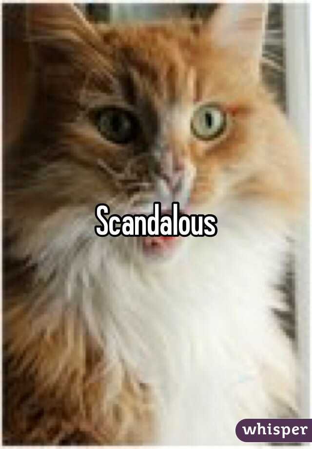 Scandalous 