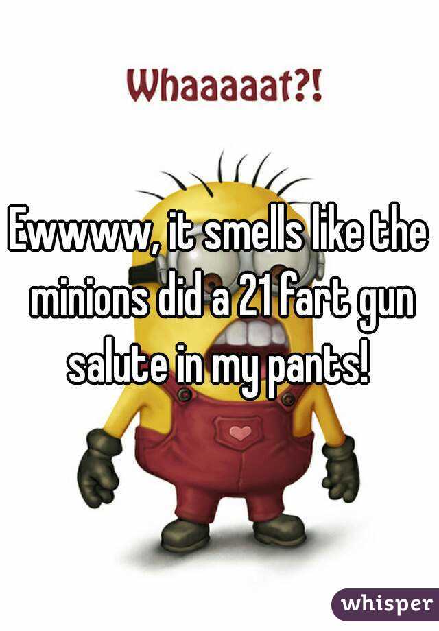 Ewwww, it smells like the minions did a 21 fart gun salute in my pants! 