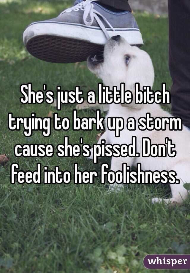 She's just a little bitch trying to bark up a storm cause she's pissed. Don't feed into her foolishness.