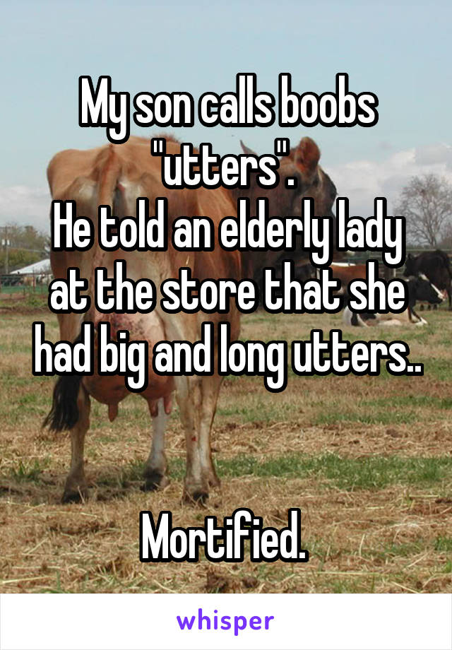 My son calls boobs "utters". 
He told an elderly lady at the store that she had big and long utters.. 

Mortified. 